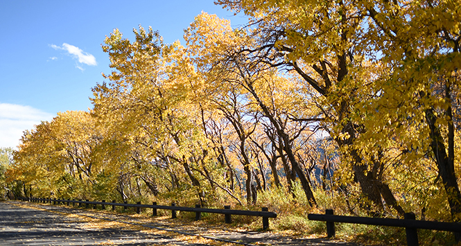 Fall colors in Glacier National park
