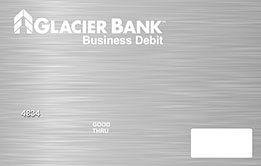 Metallic Grey Debit Card Picture