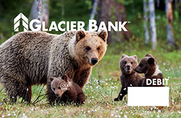 Grizzly Bears Debit Card Picture